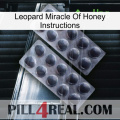 Leopard Miracle Of Honey Instructions 31